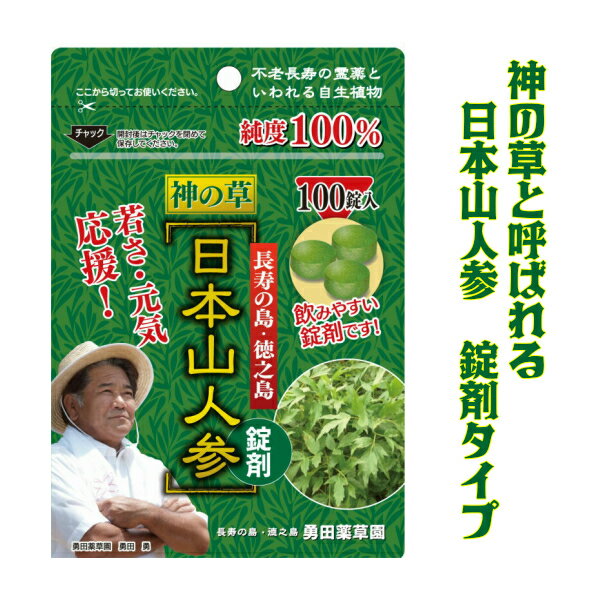  約2週間分 サプリメント 健康 サプリ 美容 ダイエット 送料無料 ヒュウガトウキ にほんやまにんじん パントテン酸 YN-1 ビタミン 亜鉛 鉄 神の草 楽天スーパーSALE エイジングケア