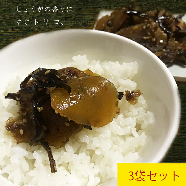 「白米との相性抜群」【しょうが佃煮1袋100g入 × 3袋 セット】生姜 しょうが 佃煮 ご飯のお供 送料無料 ギフト 木耳 キクラゲ 鰹節 ジンジャー 胡麻 ゴマ ふりかけ 国産 鹿児島 徳之島 奄美 沖縄 甘辛 美味しい おにぎり おつまみ 人気のサムネイル