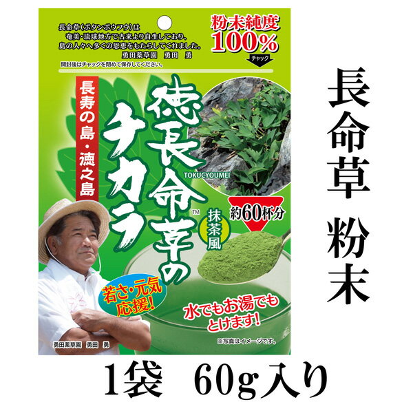 お買い物マラソン 1,000円ポッキリ  ボタンボウフウ 長命草 粉末 100％ パウダー 抹茶風 お茶 無添加 無農薬 鹿児島 徳之島産 国産 牡丹防風 ポリフェノール 勇田薬草園 青汁 エイジングケア