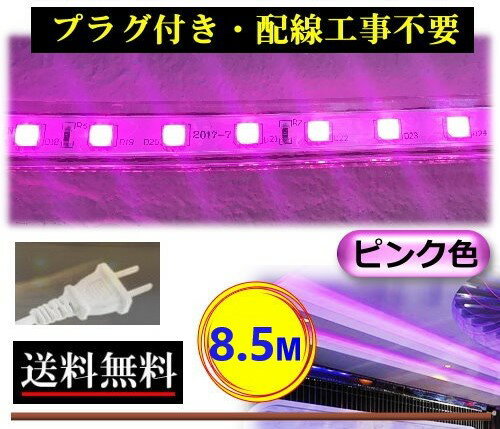 5050LEDテープライト コンセントプラグ付 AC100V 8.5M 850cm 簡単便利 ピンク色 紫色 店舗 間接照明 棚..