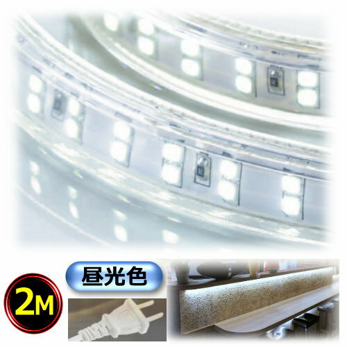 LEDơץ饤ȥ󥻥ȥץ饰դAC100V2M⵱뤤״ñŵ忧ܾêCY-TPW1M