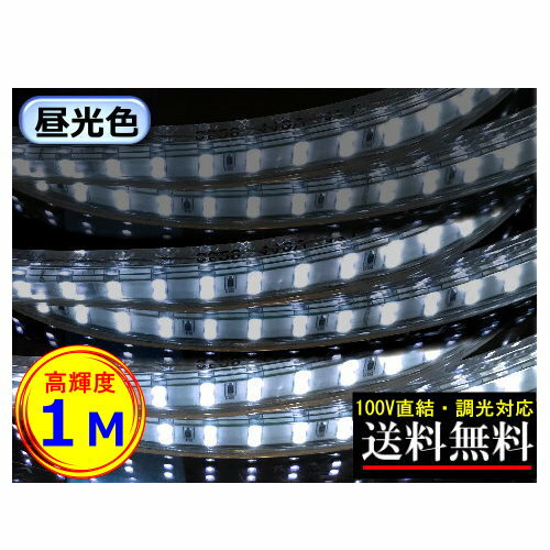 LEDテープライト 調光対応 100V直結 1M 高輝度 明るい 昼光色 間接照明 二列式 インテリア CY-TPDC1M