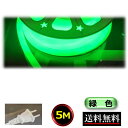 ネオンライト ロープライト チューブライト コンセントプラグ付 100V 5M 緑色 イルミネーション 間接照明 明るい CY-NLG5M