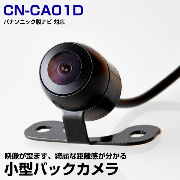 10m緿֤ˤб CN-CA01D б Хå ɿ  ݷ RCA³ CMOS ᡼󥵡  ꥢ ...