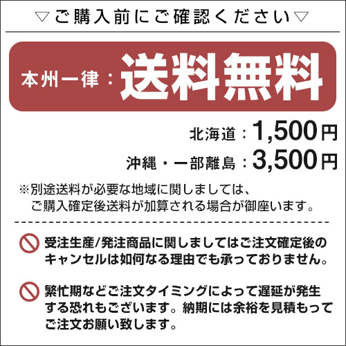 ≪トヨタ ナディア≫TA-ACN15 H14.7-H15.8 4WD 充電制御車除く 標準地仕様車 適合参考 GSPEK デルコア Dellkor G-50B19L/PL カーバッテリー カーメンテナンス 車検整備 自動車用品【H04006】