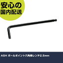 ASH ボールポイント六角棒レンチ2.5mm AP0250 ボルト締付け 整備用 配管作業 作業工具 高耐久 プロ用 使いやすい(4)