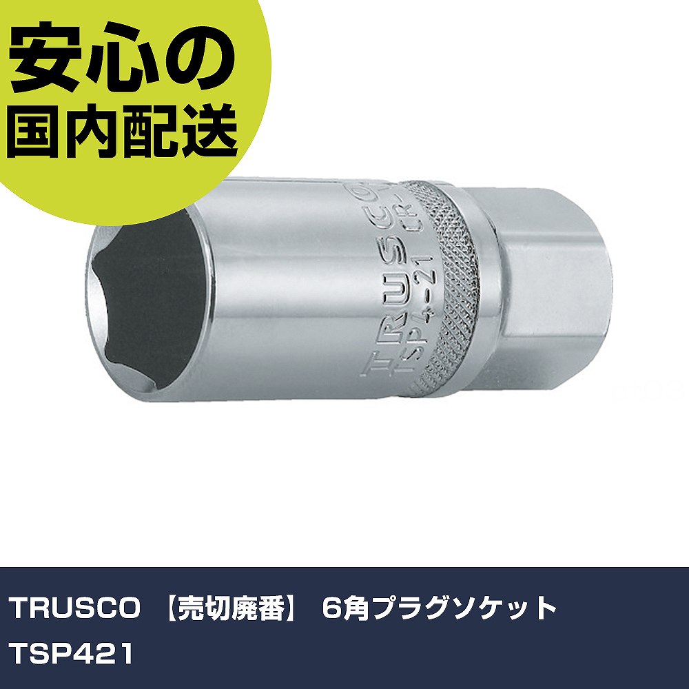 TRUSCO 6�ѥץ饰�����å� TSP421 ���ȹ��� �����åȥ��� �����å� ��̳�� �ץ����� ��ȸ��� ˡ�͸��� ����