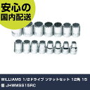 WILLIAMS 1/2ドライブ ソケットセット 12角 15個 JHWMSS15RC 手作業工具 ソケットレンチ ソケット 業務用 プロ仕様 作業現場 法人向け 工場
