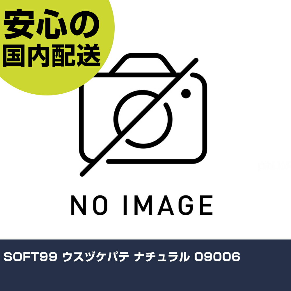 SOFT99 ウスヅケパテ ナチュラル 09006 手作業工具 車輌整備用品 車輌用補修剤 業務用 プロ仕様 作業現場 法人向け 工場