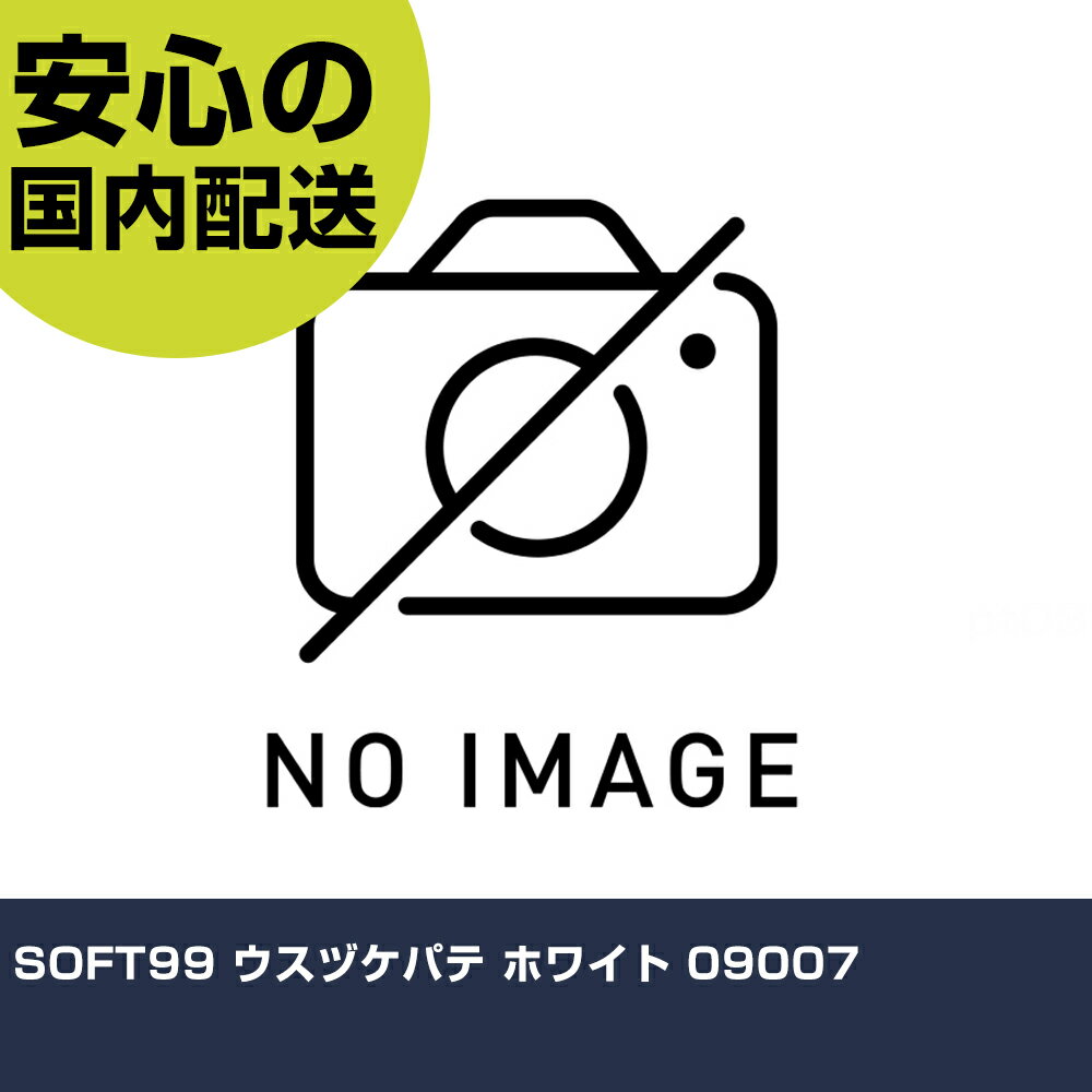 SOFT99 ウスヅケパテ ホワイト 09007 手作業工具 車輌整備用品 車輌用補修剤 業務用 プロ仕様 作業現場 法人向け 工場