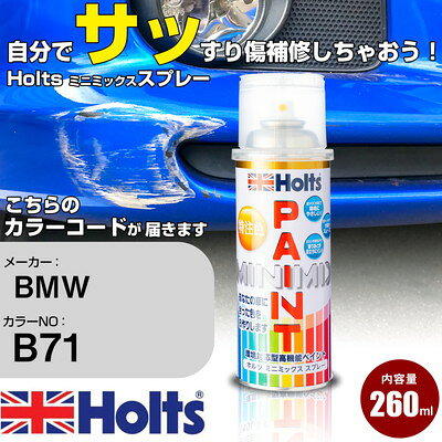 車 塗装 スプレー BMW B71 ムーンウォークグレー Holts ペイントスプレー ホルツ MINMIX ミニミックス カラースプレー オーダーカラー車 傷消し キズ 直し【TU&SP】(スプレー)