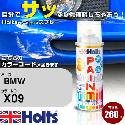 車 塗装 スプレー BMW X09 ALPINAGRUENII Holts ペイントスプレー ホルツ MINMIX ミニミックス カラースプレー オーダーカラー車 傷消し キズ 直し【TU&SP】(スプレー)