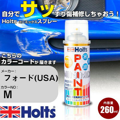 車 塗装 スプレー フォード(USA) M MAGNUM GRAY M Holts ペイントスプレー ホルツ MINMIX ミニミックス カラースプレー オーダーカラー車 傷消し キズ 直し【TU&SP】(スプレー)