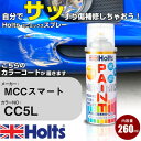 車 塗装 スプレー MCCスマート CC5L マットライトグリーン Holts ペイントスプレー ホルツ MINMIX ミニミックス カラースプレー オーダーカ...