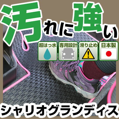 シャリオグランディス カーマット アウトドアタイプ フロアマット 直販 ゴム生地 ブラック 内装パーツ 内装品 カー用品 車用 専用設計 ピッタリ 純正風 すべり止め 梅雨 雨 泥 夏 アウトドア 汚れ 強い 撥水 はっ水