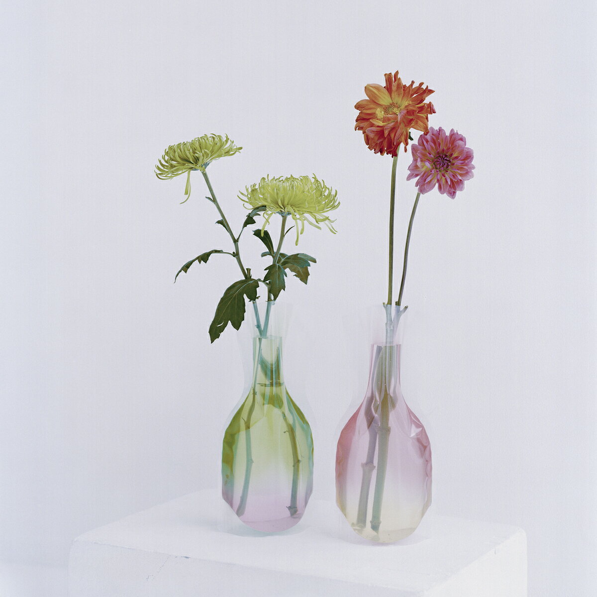 ディーブロス 花瓶 [D-BROS公式サイト] Flowervase　フラワーベース　ジェリーピーチ　ビニール製の花瓶　一輪挿し　花器　プチギフト　おしゃれ　美しいグラデーションのデザイン／D-BROS