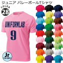 ドライライトTシャツ ジュニア バレーボール ユニフォーム オーダー 半袖 クルーネックTシャツ 28色 背番号 ネーム他 マーキング できます【別料金】P330