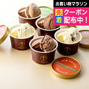 遅れてごめんね 母の日 プレゼント 2025 送料無料 スイーツ アイス 高級 ギフト セット 詰め合わせ 送料無料「銀座千疋屋」銀座ショコラアイス 冷凍便 0...