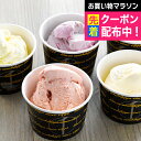 遅れてごめんね 母の日 プレゼント 2025 送料無料 スイーツ アイス 高級 ギフト セット 詰め合わせ 送料無料「銀座千疋屋」銀座プレミアムアイス 冷凍便 ...