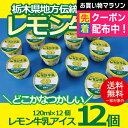 ギフト アイスクリーム 【本州のみ 送料無料】{レモン牛乳アイス12個セット} 冷凍便『YWS』