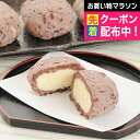遅れてごめんね 母の日 プレゼント 2025 送料無料 ギフト アイス スイーツ セット 詰め合わせ 北海道 十勝 アイスおはぎ 冷凍便 5000129『SKT...