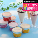 遅れてごめんね 母の日 プレゼント 2025 送料無料 ギフト アイス スイーツセット 詰め合わせ 北海道 ブラウンスイスアイス&十勝パフェ 2セット 冷凍便 ...