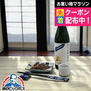 【本州のみ 送料無料】粋な酒選 日本酒晩酌セット 日本盛 純米大吟醸生酒 山田錦 720ml×1本/カネイシ 蛍いか 燻 15g×1袋『OMS』