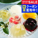 スーパーSALE先着クーポン! プレゼント 2025 送料無料 スイーツ お取り寄せ ゼリー ギフト 高級 ギフト セット 詰め合わせ 送料無料「銀座千疋屋」銀...