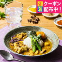 お中元 夏ギフト 2025 送料無料 洋食 カレー お取り寄せ ギフト セット 詰め合わせ 大阪「八戒」あいがけスパイスカリィ5個セット 0320095『SKT』 お取り寄せグルメ 誕生日 お祝い 内祝い 贈り物 3000円台(4)