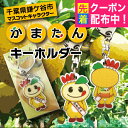 かまたん両面キーホルダー 千葉県鎌ヶ谷市マスコットキャラクター ゆるキャラ男性 女性 誕生日 プレゼント 結婚祝い 還暦祝い 古希 退職祝い 開店祝い お祝い 贈り物 父の日『NCP』