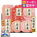 お中元 夏ギフト ハム セット ギフト 詰め合わせ ハムギフト ロースハム 送料無料 日本ハム {UKH-38 美ノ国}『NHH』 ハムギフト 内祝い ギフトセット 贈り物 ハムギフト ビッグボス 日本ハムギフト