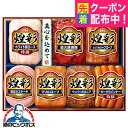 お中元 夏ギフト ハム 詰め合わせ ギフト セット ロースハム 送料無料 丸大食品 {MV-507 煌彩セット}『MRD』 内祝い ギフトセット 3000円以下 贈り物 ハムギフト ビッグボス