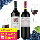 お中元 夏ギフト プレゼント 2025 【本州のみ 送料無料】ワイン ギフト 飲み比べ セット フランス・チリ 赤ワイン 2種セット オーシエール/ロスヴァスコス 詰め合わせ 内祝い 誕生日 贈り物