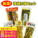 漬物 送料無料 厳選 漬け物5種セット 天神漬け たかな漬け 大根漬け 行者にんにく漬け きゅうり漬け