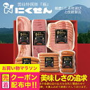 お中元 夏ギフト ハム ギフト セット ソーセージ 詰め合わせ 送料無料 にくせん NPG-15 バラエティセット詰め合わせ セット『NKS』 長崎 雲仙 国産...