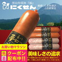 お中元 夏ギフト ハム ギフト セット ソーセージ 詰め合わせ 送料無料 にくせん NPG-BB01 2種4本ソーセージセット『NKS』 長崎 雲仙 国産 雲仙...
