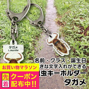 名入れ 文字入れ OK 昆虫キーホルダー タガメ 名前入り ギフト 男性 女性 誕生日 プレゼント 結婚祝い 還暦祝い 古希 退職祝い 開店祝い お祝い 贈り物 父の日『NCP』