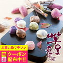 お中元 夏ギフト 2025 送料無料 ギフト スイーツ 熊本「芋屋長兵衛」いきなり団子と焼き芋詰合せ 冷凍便 3170027『SKT』 詰め合わせ お取り寄せグルメ セット 誕生日 お祝い 内祝い 贈り物