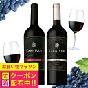 お中元 夏ギフト プレゼント 2025 【本州のみ 送料無料】ワイン ギフト 飲み比べ セット 肉専用 赤ワイン カーニヴォ 2種セット カベルネ・ソーヴィニョン/ジンファンデル 詰め合わせ 内祝い 誕生日 贈り物