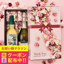 お中元 夏ギフト プレゼント 2025 【本州のみ 送料無料】ワイン 梅酒 ギフト 飲み比べ セット スパークリングワイン ヴィッラ サンディ・樽仕上げ梅酒セット 750ml×2本 詰め合わせ 内祝い 誕生日 贈り物
