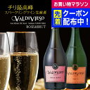 バルディビエソ ブリュット 白/ロゼ 2本セット750ml×2本