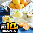 なんと全品10倍!(要エントリー) 敬老の日ギフト 2025 送料無料 スイーツ ギフト 常温保管可能 凍らせて食べるソルベ 和歌山「伊藤農園」なめらか寒天ソル...