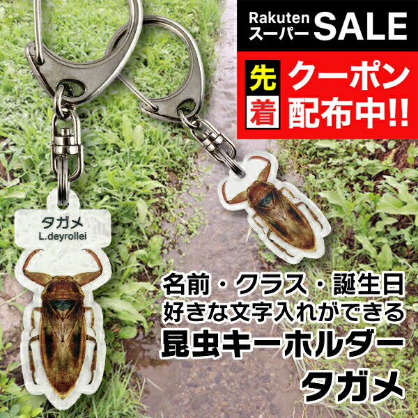 【スーパーSALE★先着クーポン】名入れ 文字入れ OK 昆虫キーホルダー タガメ 名前入り ギフト 男性 女性 誕生日 プレゼント 結婚祝い 還暦祝い 古希 退職祝い 開店祝い お祝い 贈り物 父の日『NCP』