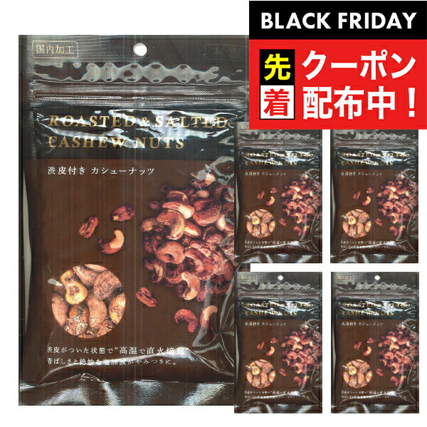 ブラックフライデー先着クーポン！カシューナッツ 送料無料 栗山商事 渋皮付き カシューナッツ 100g×5袋(005)