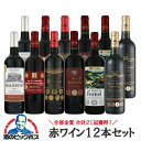 ワインセット 赤 12本 【本州のみ 送料無料】金賞合計21冠獲得 全部赤 6種 各2本 750ml×12本セット『OMS』