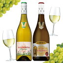 お中元 夏ギフト プレゼント 2025 【本州のみ 送料無料】ワイン ギフト 飲み比べ セット ドイツ 白ワイン マドンナ 2種セット オーガニック/カビネット 詰め合わせ 内祝い 誕生日 贈り物