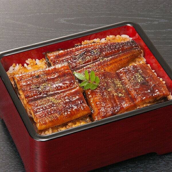 【2026年1月13日以降発送】送料無料 鰻 ウナギ うなぎ ギフト セット 詰め合わせ 宮崎「鰻楽」うなぎ蒲焼切身 200g 冷凍便 0130317『SKT』 お取り寄せグルメ 誕生日 お祝い 内祝い 贈り物 お年賀