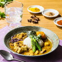 【2025年8月20日以降発送】お中元 夏ギフト 2025 送料無料 洋食 カレー お取り寄せ ギフト セット 詰め合わせ 大阪「八戒」あいがけスパイスカリィ5個セット 0320095『SKT』 お取り寄せグルメ 誕生日 お祝い 内祝い 贈り物 3000円台(4)