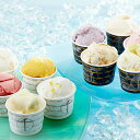 お中元 夏ギフト 2025 送料無料 スイーツ 高級 ギフト セット 詰め合わせ 送料無料「銀座千疋屋」銀座プレミアムアイス&ソルベ 冷凍便 0820191『S...