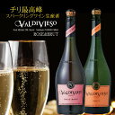 バルディビエソ ブリュット 白/ロゼ 2本セット750ml×2本